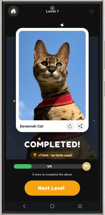 PicMend - Photo Block Puzzle screenshot 3